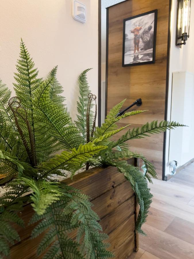 Fewo Ottobeurens Schmuckstueck: Gemuetlich-Stylische Wohnung 외부 사진
